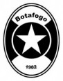 /album/alguns-escudos/botafogo-f-r-jpg/